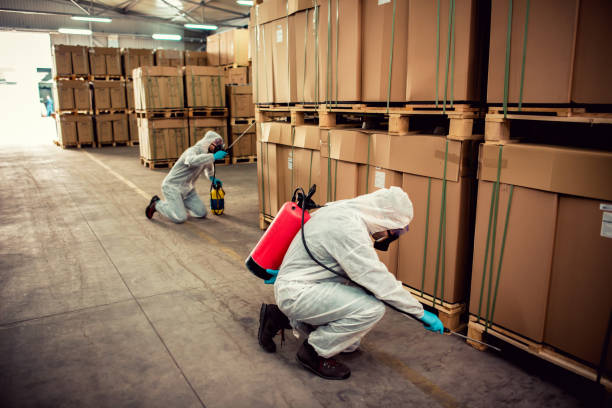 Best Pest Removal Services  in Carthage, MO