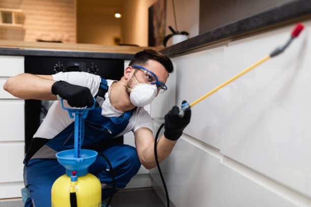 Reliable Carthage, MO Pest Control Solutions
