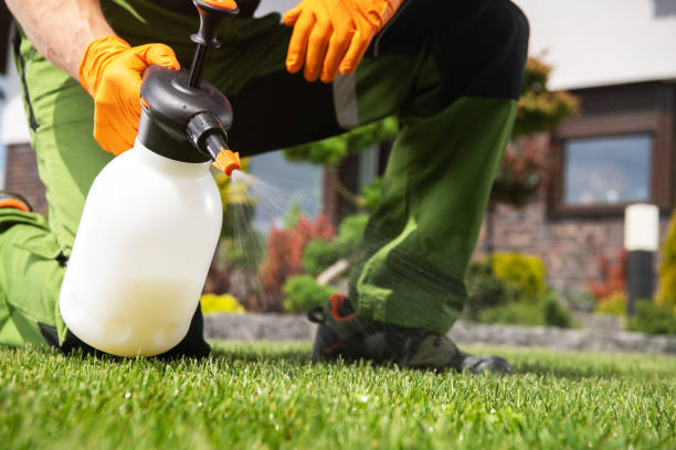 Best Pest Prevention Services  in Carthage, MO