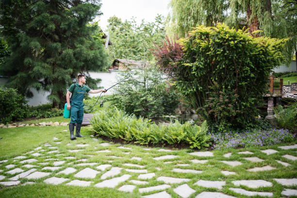 Best Wildlife Control Services  in Carthage, MO