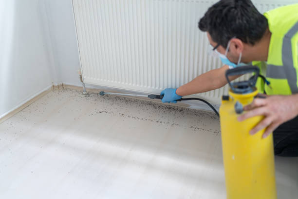 Best Cockroach Control Services  in Carthage, MO